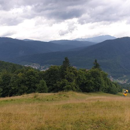 Mountain Break Azuga Ski エクステリア 写真