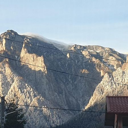 Mountain Break Azuga Ski エクステリア 写真